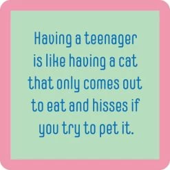 Teenager Cat Coaster