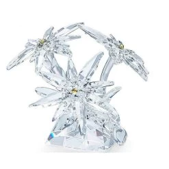 Swarovski Edelweiss SCS 2020 Exclusive