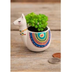Faux Succulents In Lesli The Llama Planter